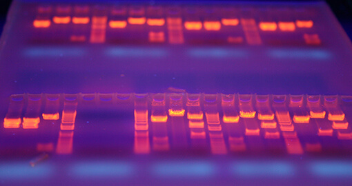 RNA-Seqイメージ画像